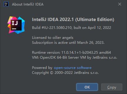 IntelliJ IDEA 2022.1永久破解激活教程（亲测可用，持续更新）_心得技巧_积微成著